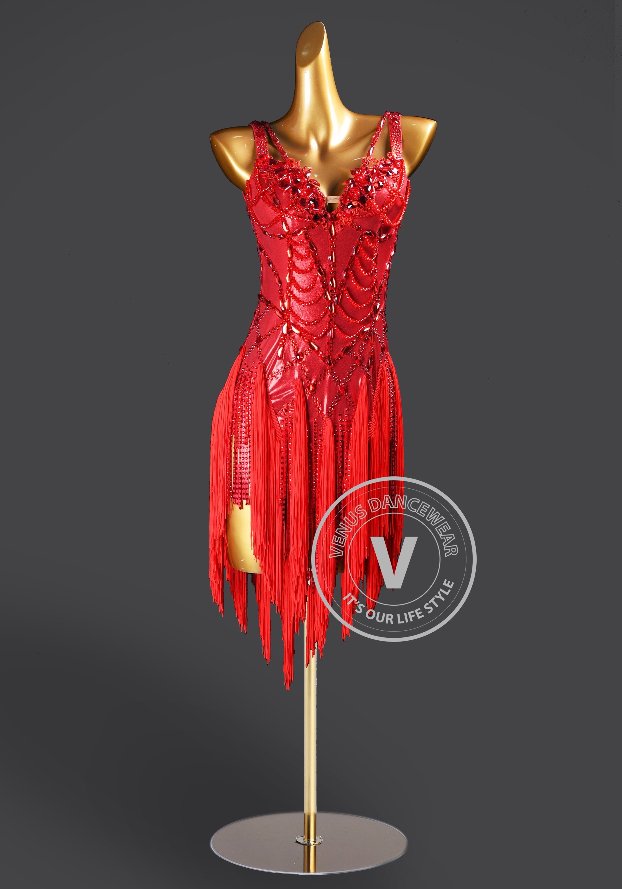 Ruby Serenade Latin Rhythm Chacha Salsa Rumba Competition Dance Dress