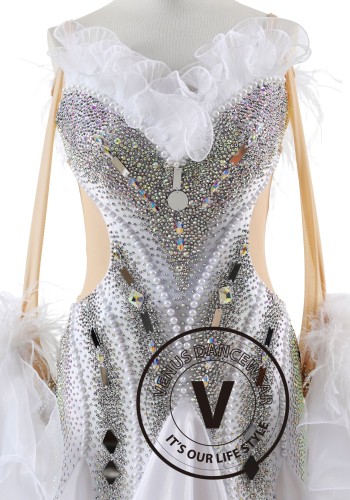Swan Serenade Ballroom Smooth Dance Competition Dress