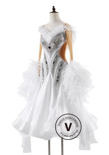 Swan Serenade Ballroom Smooth Dance Competition Dress