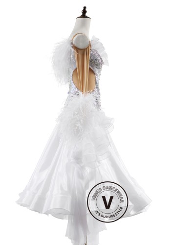 Swan Serenade Ballroom Smooth Dance Competition Dress