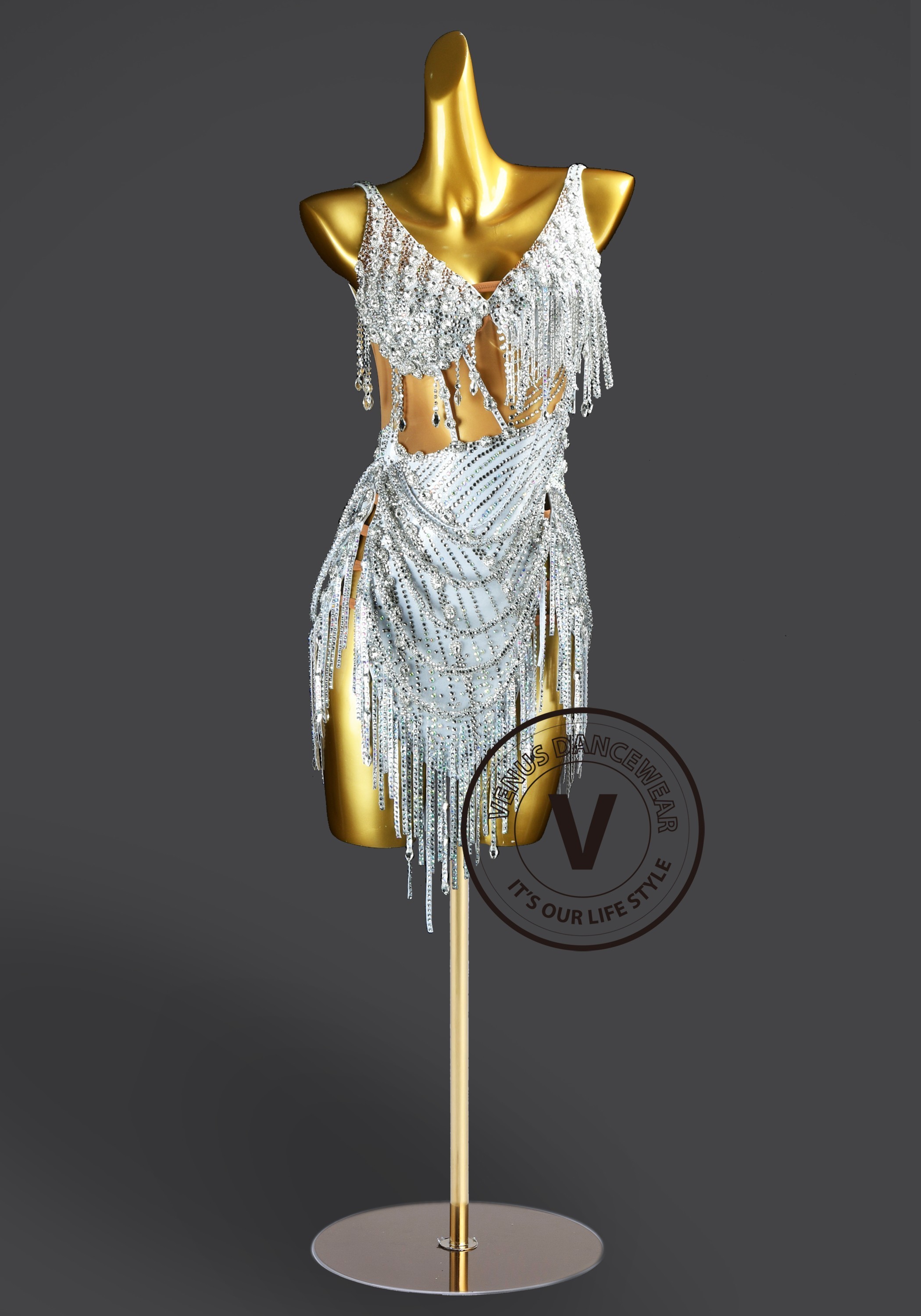 Silver Serenade Samba Latin Rhythm Chacha Salsa Rumba Competition Dance Dress