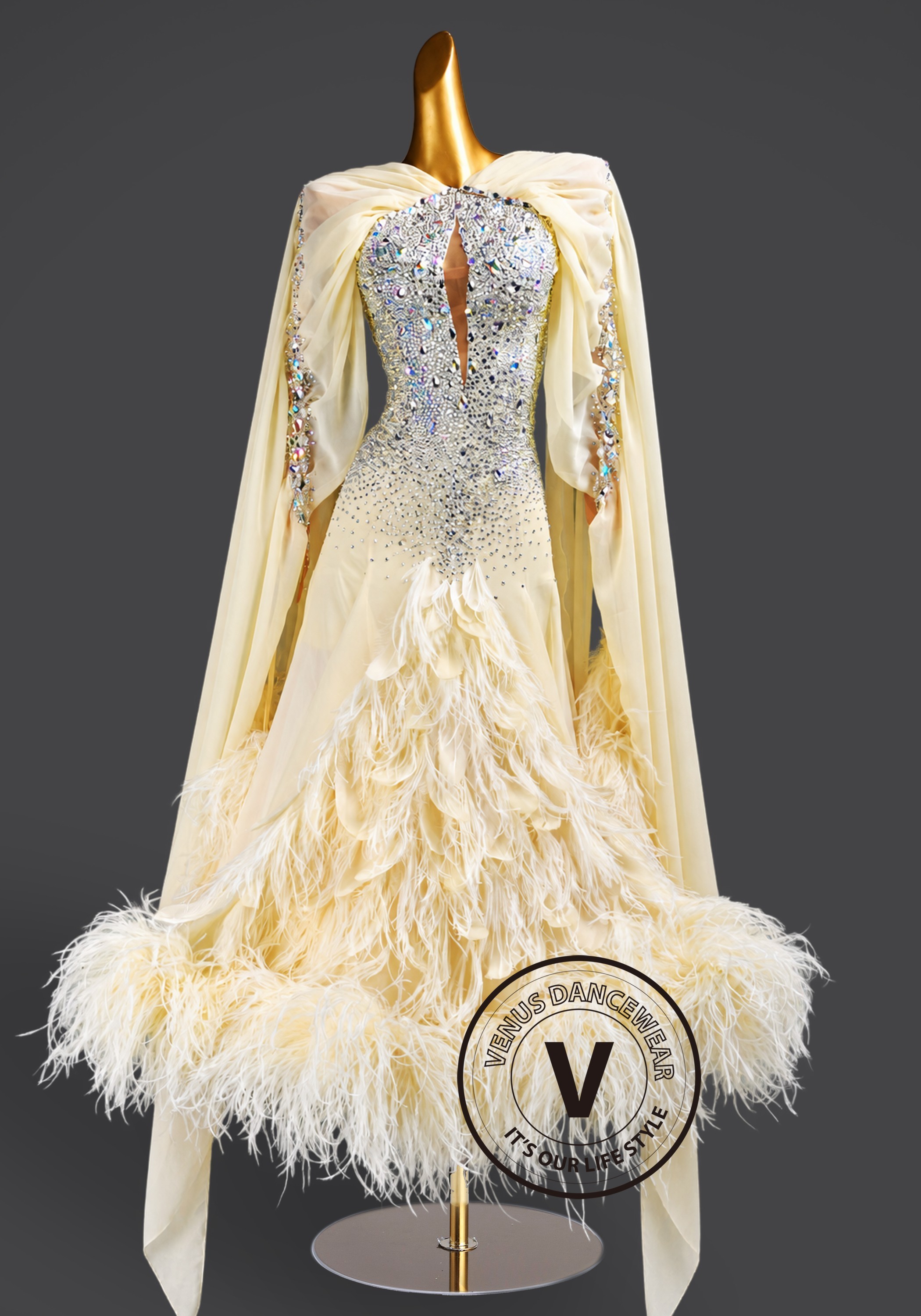 Ivory Aurora Feather Waltz Ballroom Dress American Smooth Competition Dresses