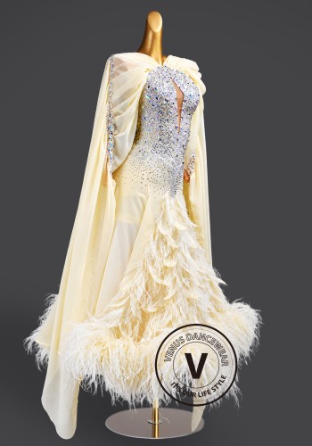 Ivory Aurora Feather Waltz Ballroom Dress American Smooth Competition Dresses
