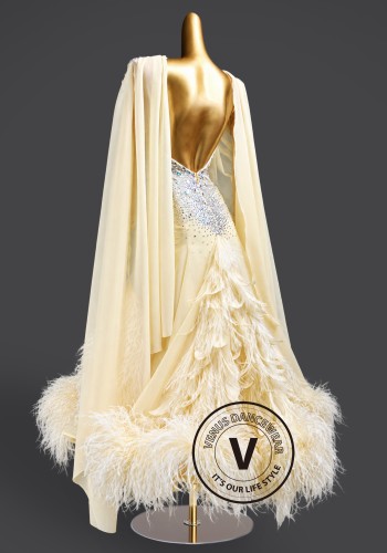 Ivory Aurora Feather Waltz Ballroom Dress American Smooth Competition Dresses