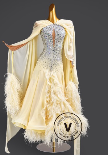 Ivory Aurora Feather Waltz Ballroom Dress American Smooth Competition Dresses