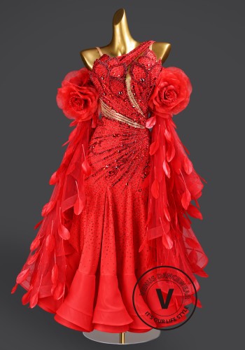 Rosette Splendor Waltz Ballroom Dress American Smooth Competition Dresses