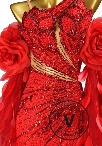 Rosette Splendor Waltz Ballroom Dress American Smooth Competition Dresses