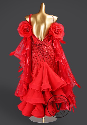 Rosette Splendor Waltz Ballroom Dress American Smooth Competition Dresses