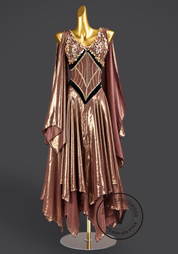 Bronze Nocturne Waltz Ballroom Dress American Smooth Competition Dresses