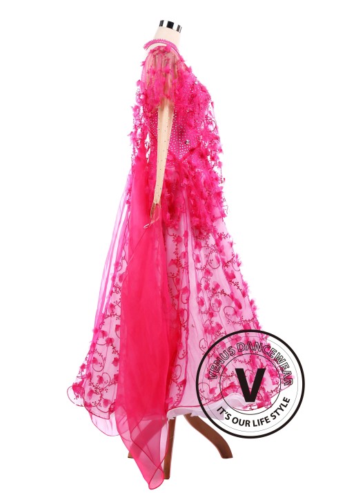 Pink Vines Ballroom Tango Waltz Smooth Standard Competition Dance Dress