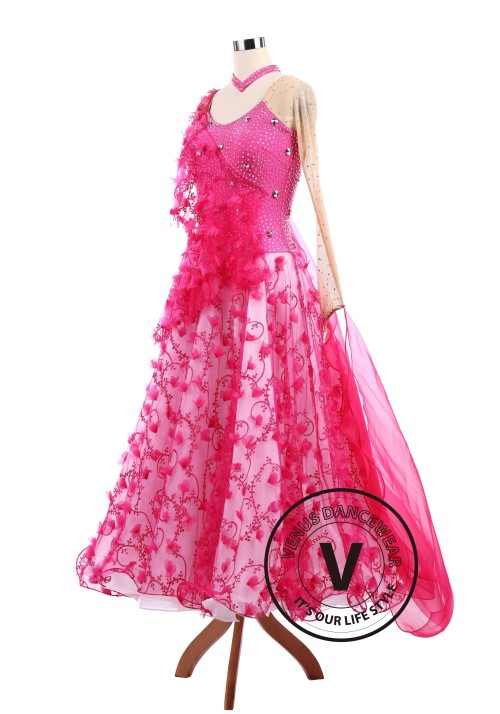 Pink Vines Ballroom Tango Waltz Smooth Standard Competition Dance Dress