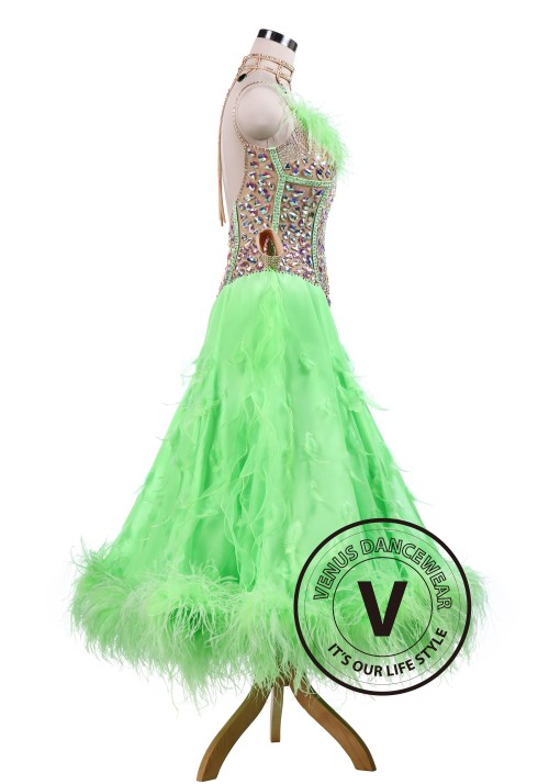 Green gorgeous Ballroom Competition Tango Waltz Dancing Dress