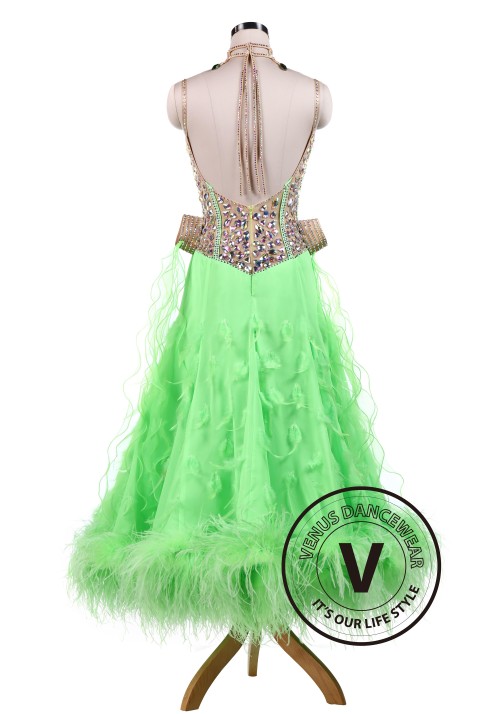 Green gorgeous Ballroom Competition Tango Waltz Dancing Dress