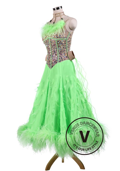 Green gorgeous Ballroom Competition Tango Waltz Dancing Dress