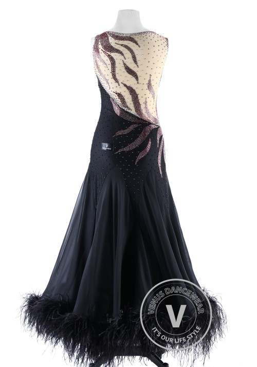 Gorgeous Black Feather Ballroom Smooth Competition Dance Dress