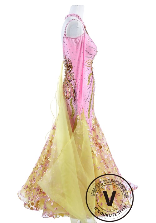 Colorful Fireworks Smooth Standard Foxtrot Waltz Quickstep Dress