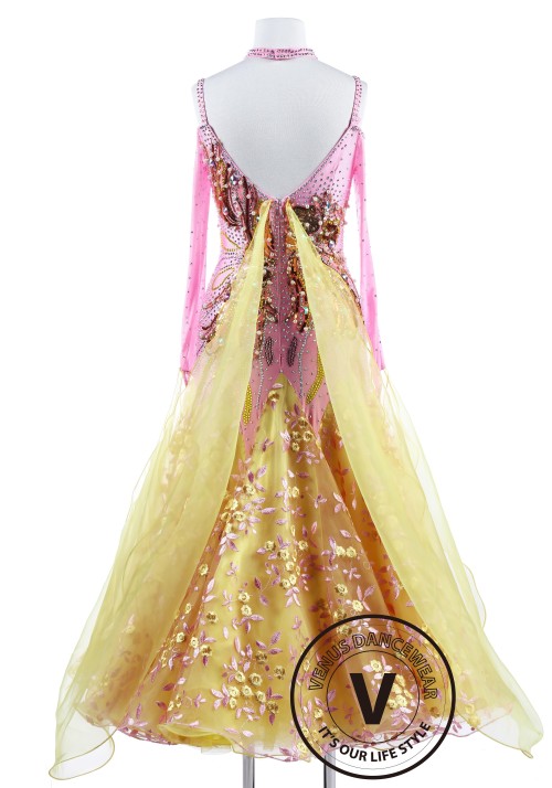 Colorful Fireworks Smooth Standard Foxtrot Waltz Quickstep Dress