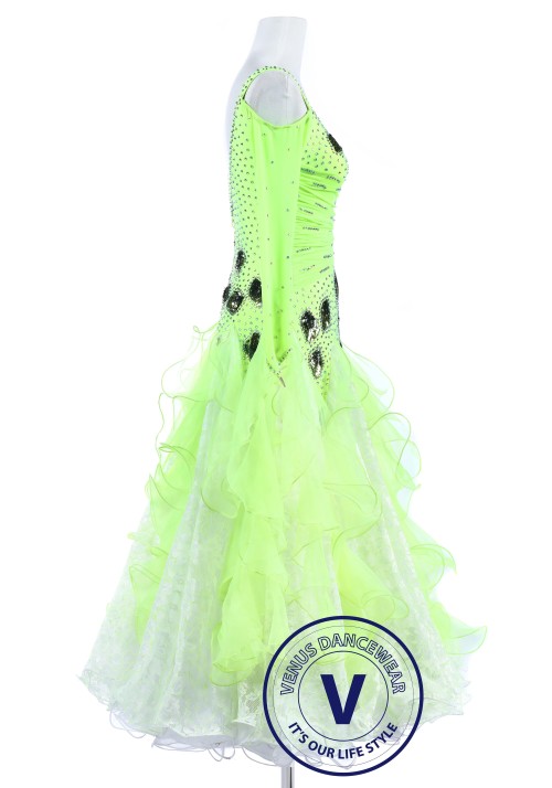 Green Leaf and Lace Standard Smooth Foxtrot Waltz Quickstep Dress