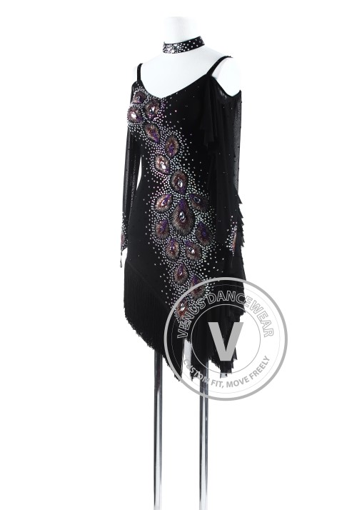 Black Peacock Plumes Fringe Latin Rhythm Competition Dress