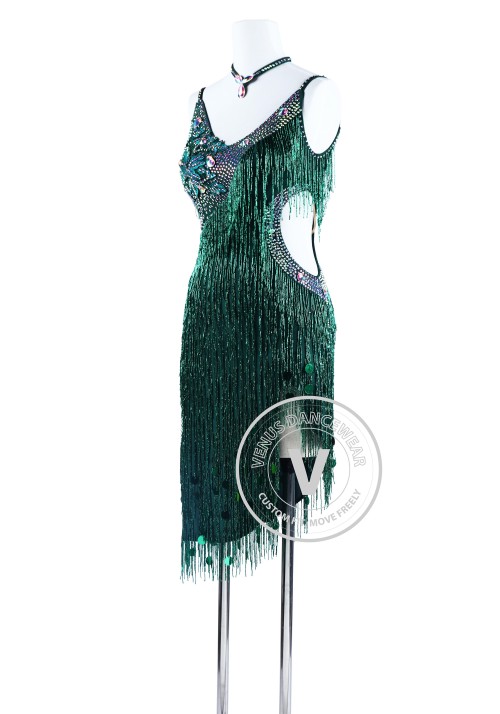 Green Hand-Sewing Beading Fringe Ryhthm Salsa Latin Dance Competition Dress