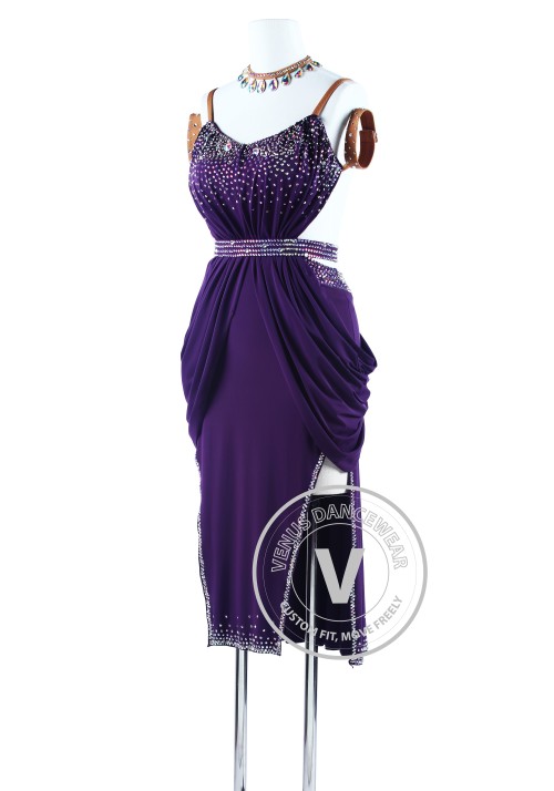 Plum Elegant American Ryhthm Sexy Salsa Latin Dance Competition Dress