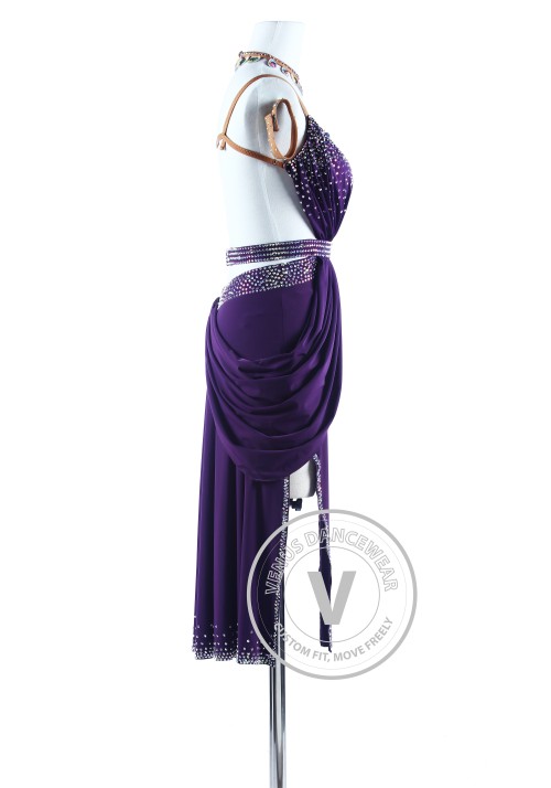 Plum Elegant American Ryhthm Sexy Salsa Latin Dance Competition Dress