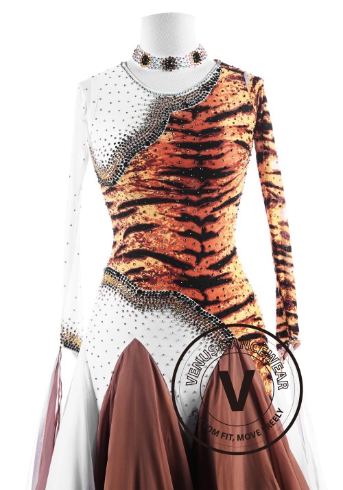 Tiger Stripes Ballroom International Competition Dance Dress