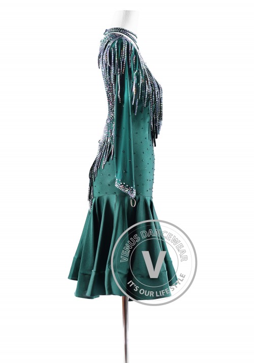 Ponderosa Pine Latin Rhythm Competition Dance Dress