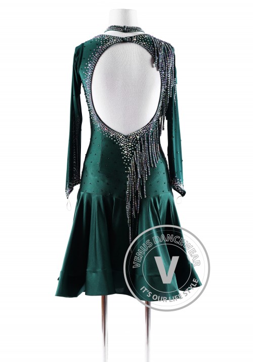 Ponderosa Pine Latin Rhythm Competition Dance Dress