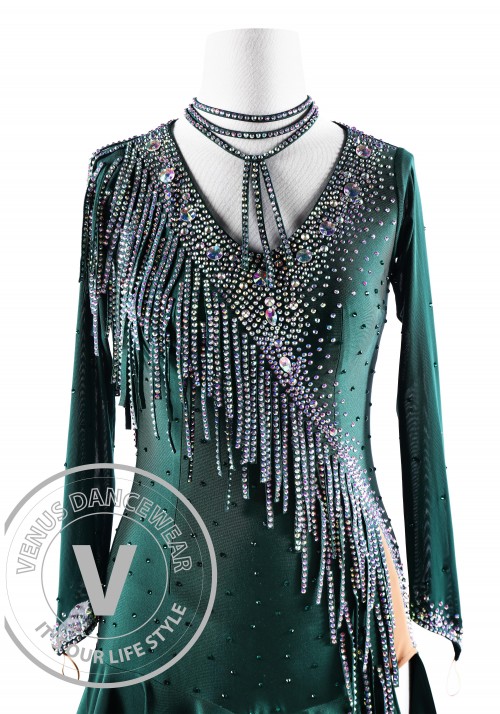 Ponderosa Pine Latin Rhythm Competition Dance Dress