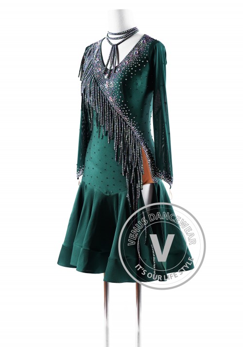 Ponderosa Pine Latin Rhythm Competition Dance Dress