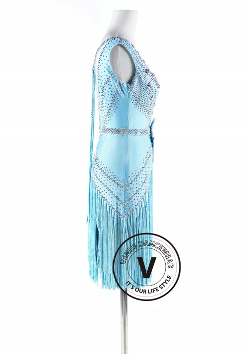 Ice Queen Latin Rhythm Competition Dance Dress