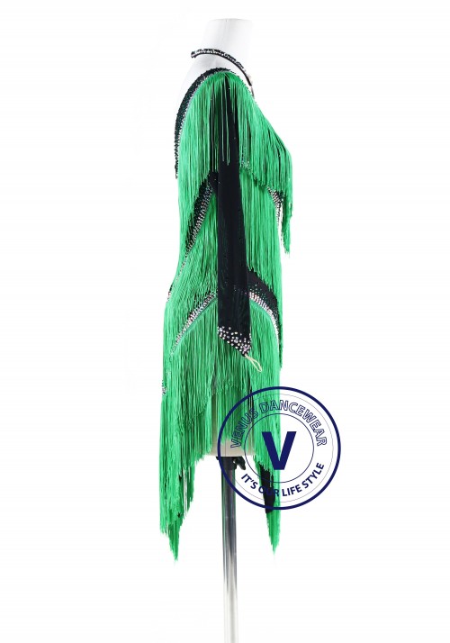 Four Layers Green Fringe Latin Rhythm Competition Dance Dress