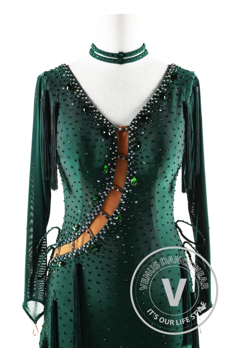 Dark Green dress with tassels Latin Rhythm Competition Dance Dress