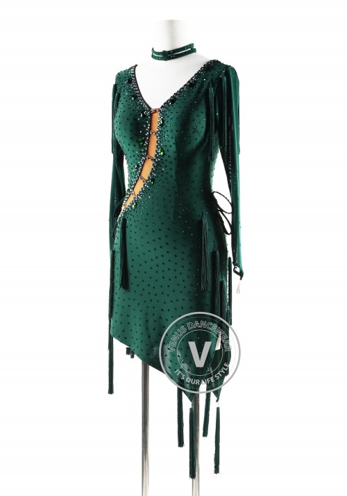 Dark Green dress with tassels Latin Rhythm Competition Dance Dress