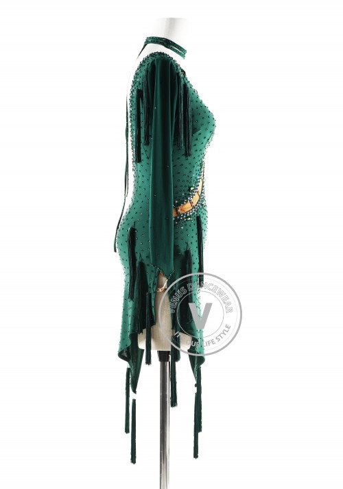 Dark Green dress with tassels Latin Rhythm Competition Dance Dress