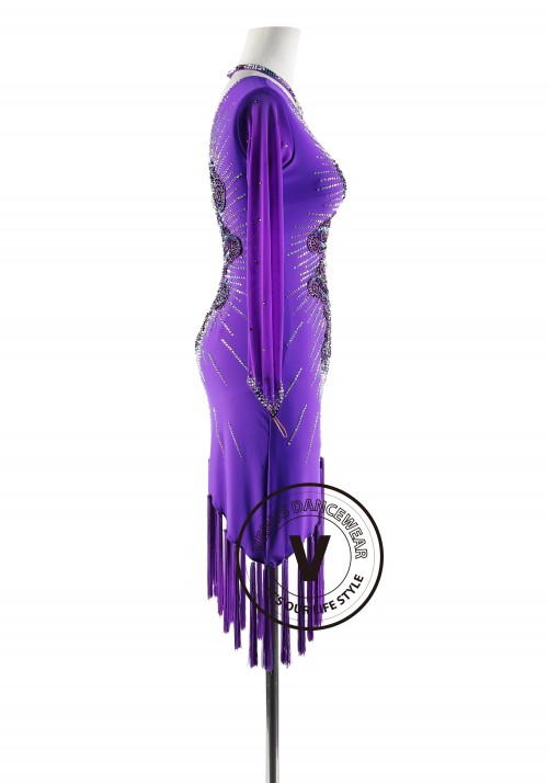 Purple Blue Iris with Tassels Latin Rhythm Competition Dance Dress