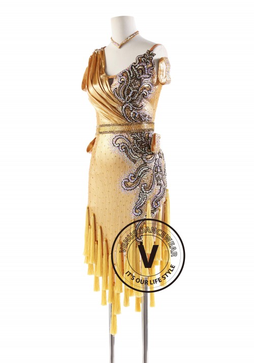 Gold  Tassels with Appliques Beads Latin Rhythm Competition Dance Dress