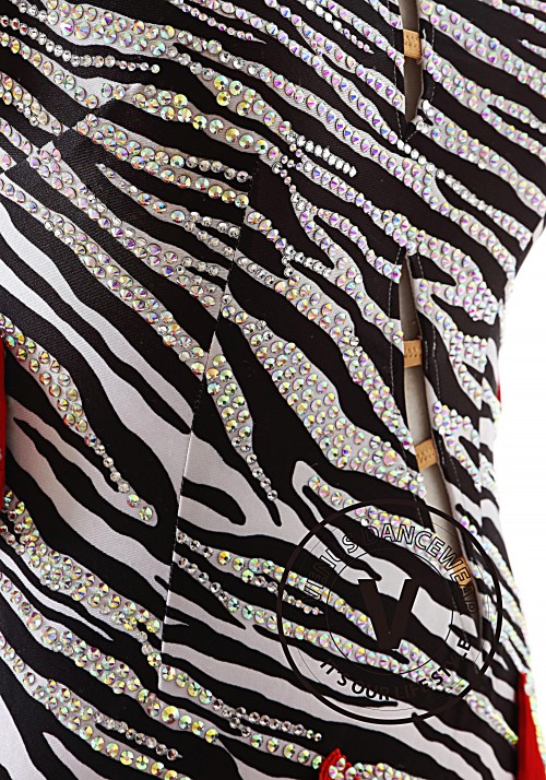 Zebra Pattern with Fringe Skirt Latin Rhythm Competition Dance Dress