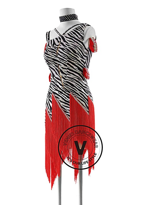 Zebra Pattern with Fringe Skirt Latin Rhythm Competition Dance Dress