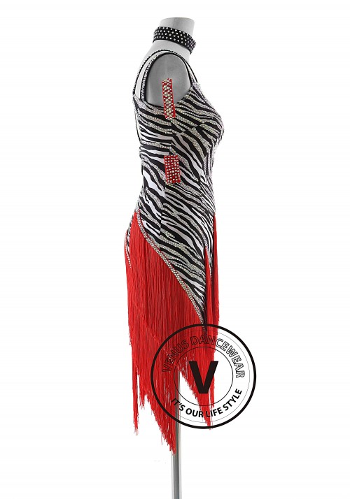 Zebra Pattern with Fringe Skirt Latin Rhythm Competition Dance Dress