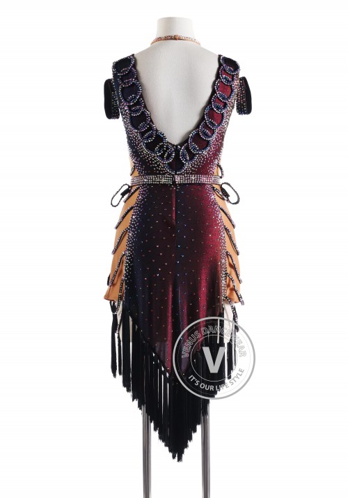 Radiant Black Dress with Black Tessel Fringe Latin Rhythm Competition Dance Dress