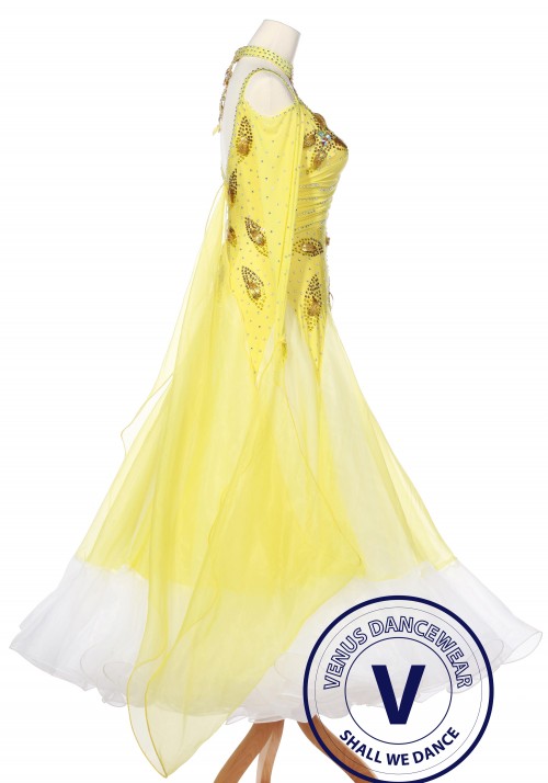 Scattered Leaves Ombre Godet  Ballroom Smooth Waltz Standard Competition Dress