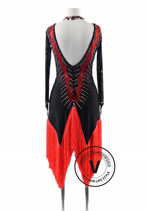 Silver Swirl with beads fringe Latin Rhythm Competition Dance Dress