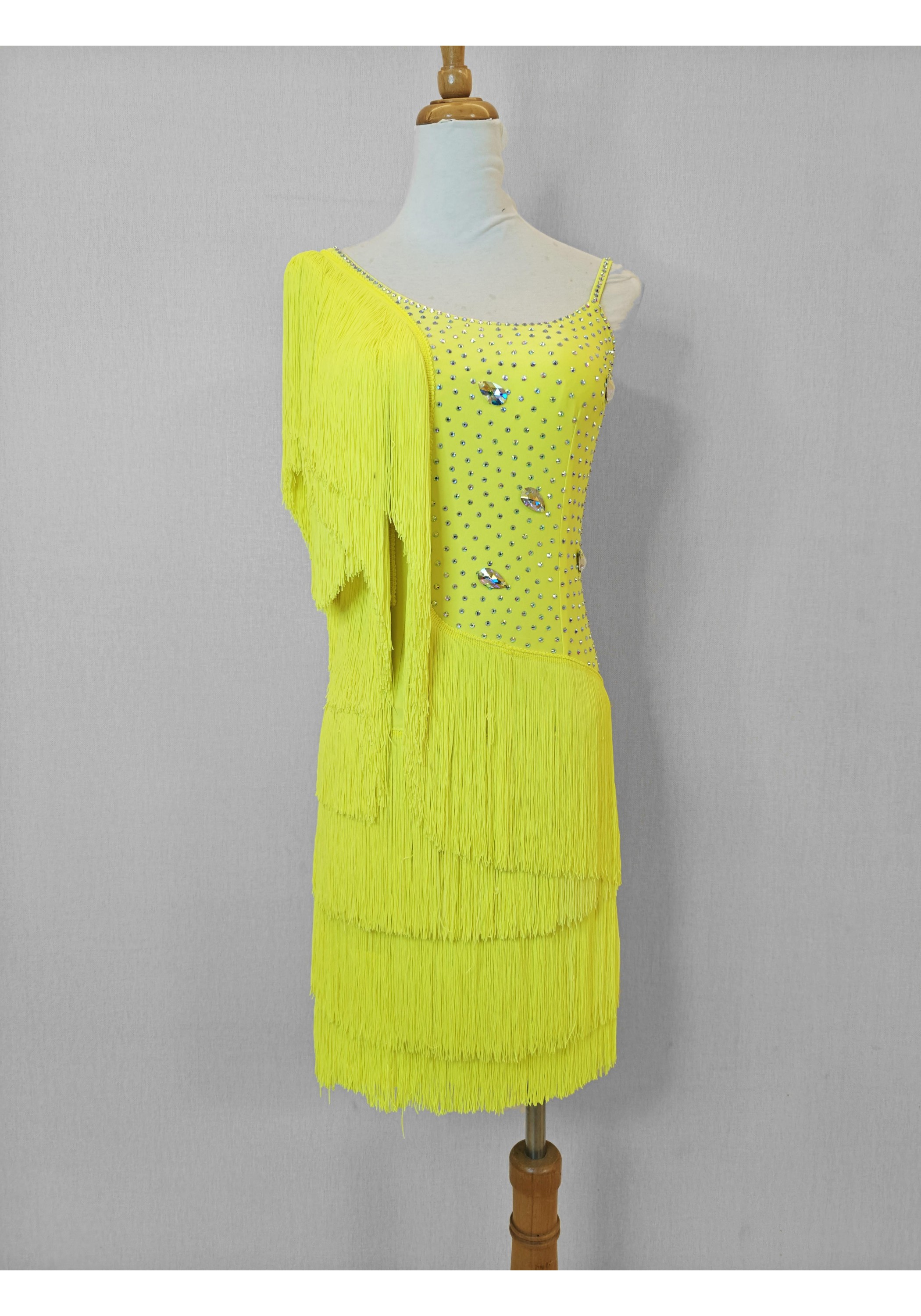 Yellow Fringe Tango Salsa Latin Rhythm Competition Dress Sample Dress