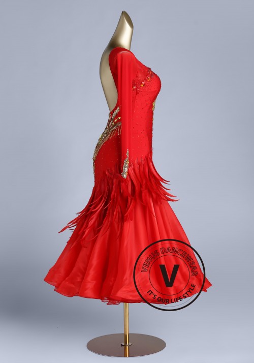 Ballroom Smooth Competition Dance Dress BL0009