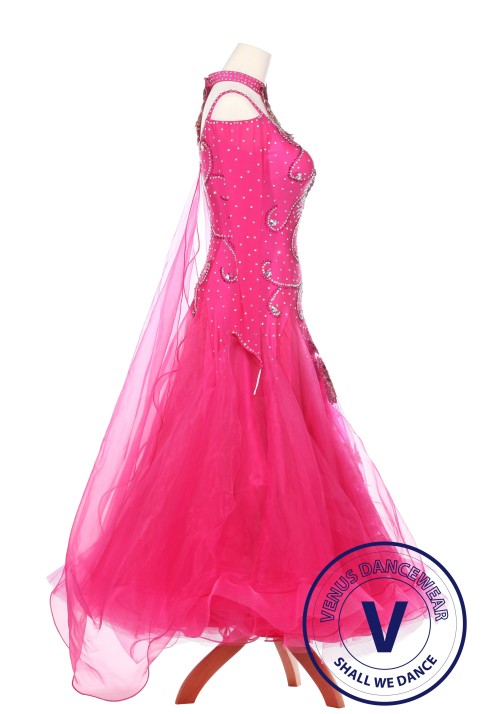 Fire Phoenix Standard Ballroom Waltz Foxtrot Competition Dress 