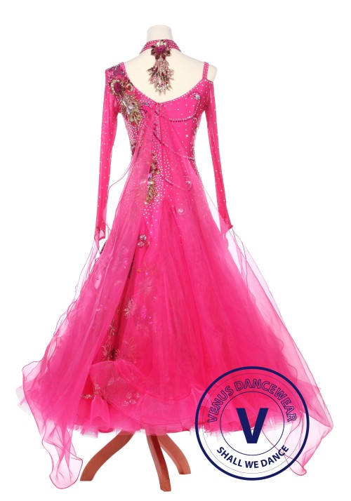 Fire Phoenix Standard Ballroom Waltz Foxtrot Competition Dress 