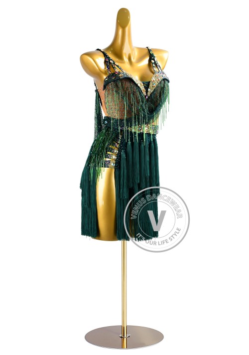 Hunter Green Illusion Beading Netting and Fringe Latin Rhythm Competition Dance Dress