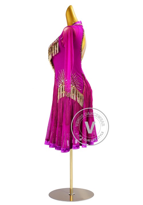 Fuchsia Beading Fringe Latin Rhythm Competition Dance Dress